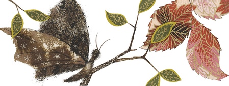 Thao Lam (Канада)